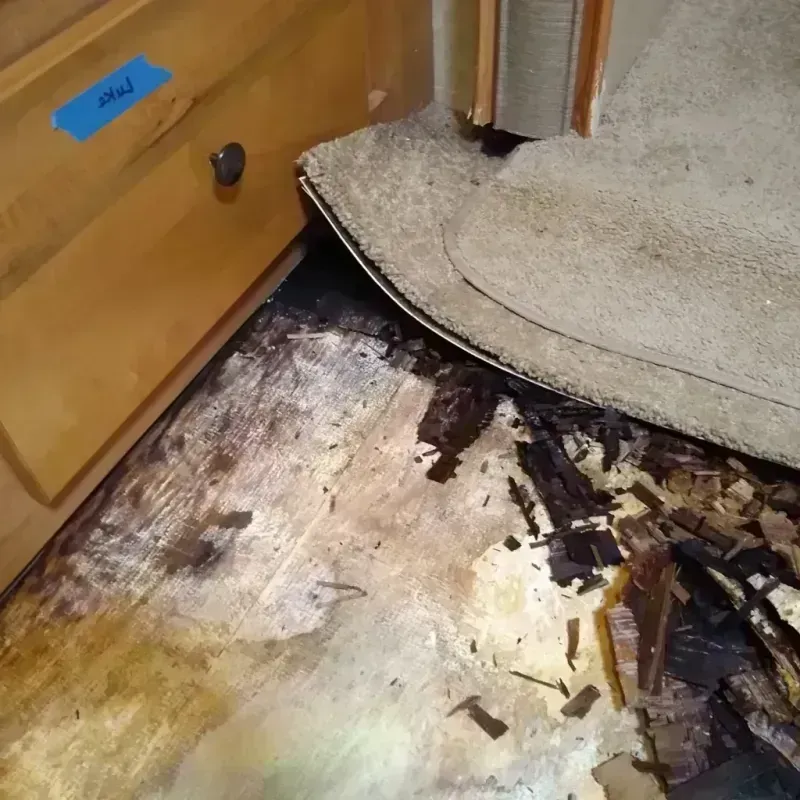 Wood Floor Water Damage in Lake Panasoffkee, FL